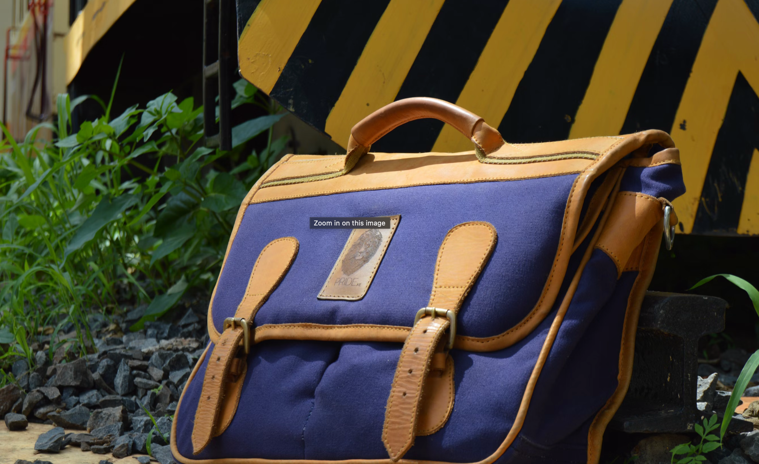 Canvas Bags